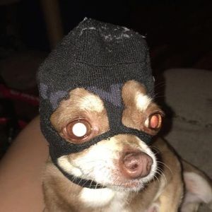 Meet your Posher, Elana